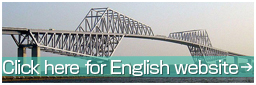 English Website